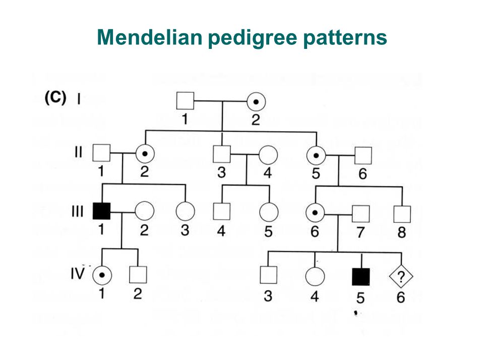 How do non-Mendelian genetics work?